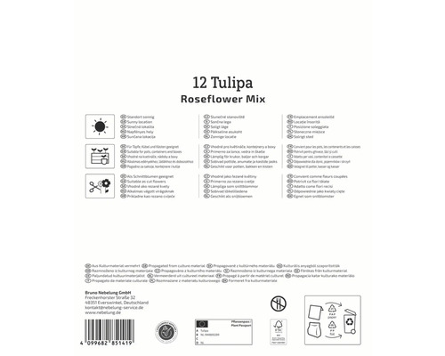Verpackung Tulpen Roseflower Mix mit Hinweisen zu Standort, Verwendung und Logos