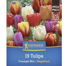 Kiepenkerl Logo. Packung Triumph Tulpenmischung mit Symbolen für Pflanzzeitpunkt, Pflanztiefe und Schnittblume.