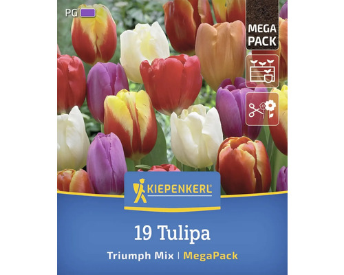 Kiepenkerl Logo. Packung Triumph Tulpenmischung mit Symbolen für Pflanzzeitpunkt, Pflanztiefe und Schnittblume.