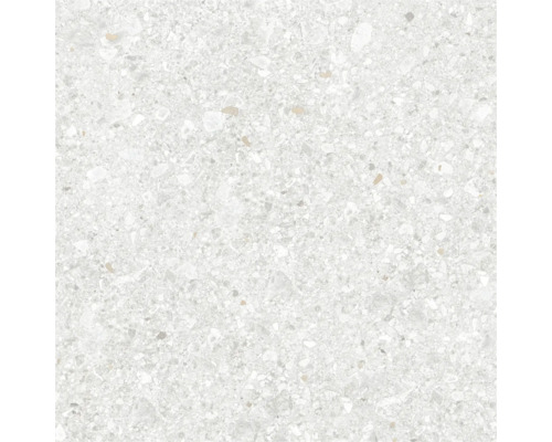 Feinsteinzeug Wand- und Bodenfliese Luxora white 60 cm x 60 cm x 0,85 cm rektifiziert Nahaufnahme einer Bodenfliese mit Terrazzo-Muster.