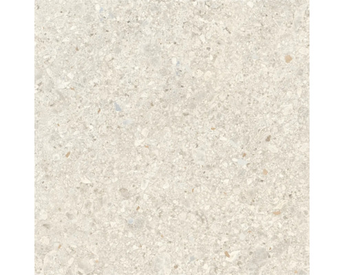 Feinsteinzeug Wand- und Bodenfliese Luxora almond 60 cm x 60 cm x 0,85 cm rektifiziert Fliesenmuster mit Steindekor