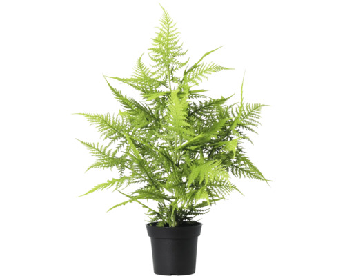 Kunstpflanze Lafiora Farn H 65 cm grün