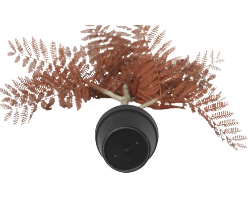 Kunstpflanze Farn im Topf, Draufsicht