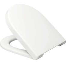 Toilettendeckel aus Kunststoff