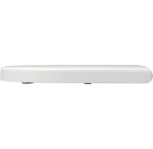 Toilettendeckel aus Kunststoff