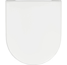 Toilettendeckel aus Kunststoff