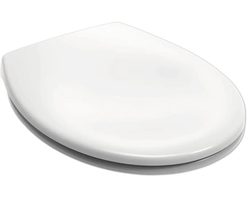 Toilettendeckel aus Kunststoff
