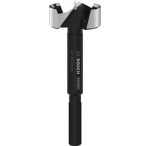 Forstnerbohrer, Durchmesser 30 Millimeter, Marke Bosch Expert