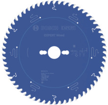 Bosch Expert Holzsägeblatt, 250x32/22x30 Millimeter