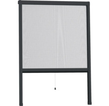 Insektenschutzrollo für Fenster