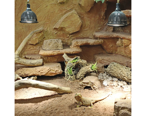 Terrarium mit Bartagame, Steinen, Ästen und Beleuchtung