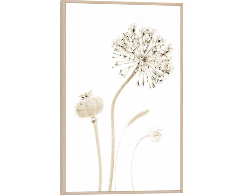 Gerahmtes Bild Flower Stills 20x30 cm Gerahmtes Bild mit Blumenmotiv für die Wanddekoration