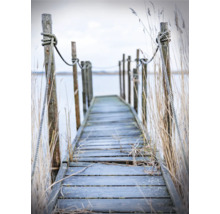 Holzpier mit Seilen und Schilf am Wasser
