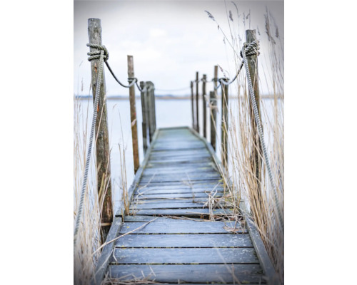 Holzpier mit Seilen und Schilf am Wasser