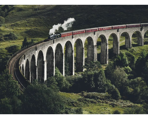 Ein Zug fährt über das Glenfinnan Viadukt, eine Eisenbahnbrücke in Schottland.