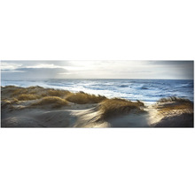 Dünenlandschaft mit Gras und Meer