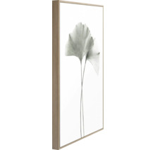 Gerahmtes Bild mit Ginkgo Blättern