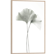 Gerahmtes Bild mit zwei Ginkgoblättern als Motiv