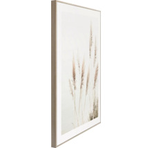 Gerahmtes Bild mit Gräsern