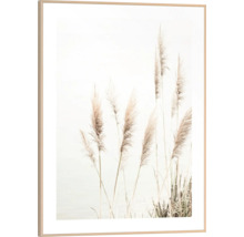 Gerahmtes Bild mit dekorativem Schilfgras