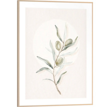 Gerahmtes Wandbild mit Olivenzweig
