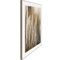Gerahmtes Bild mit Pampasgras-Motiv für die Wanddekoration