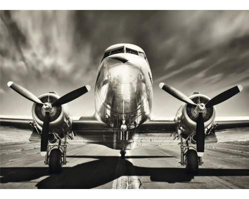 Frontansicht eines silberfarbenen Flugzeugs auf einer Landebahn