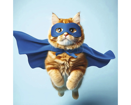 Leinwandbild Superkatze 30x30 cm Katze mit Maske und Umhang