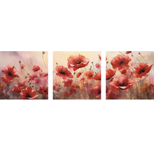 Dreiteiliges Leinwandbild mit rotem Mohnblumenmotiv
