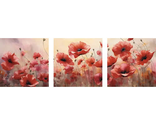 Leinwandbild Mohnblumen 3er-Set 3x 50x50 cm Dreiteiliges Leinwandbild mit rotem Mohnblumenmotiv