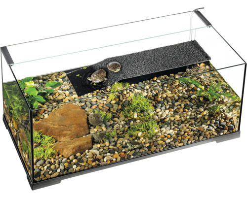 Sicht auf ein Schildkrötenbecken mit Steinen, Pflanzen und einem Landteil