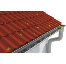 Dachrinne am Dach mit Laub