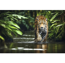 Ein Jaguar watet durch einen Fluss, umgeben von üppigem Grün.