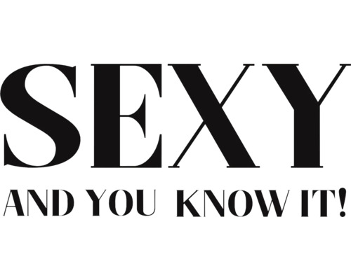 Schriftzug Sexy And You Know It