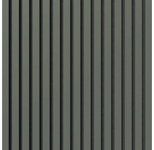 Holzpaneele für Wand und Decke