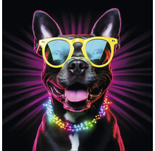 Ein Hund mit Sonnenbrille und Lichterkette.