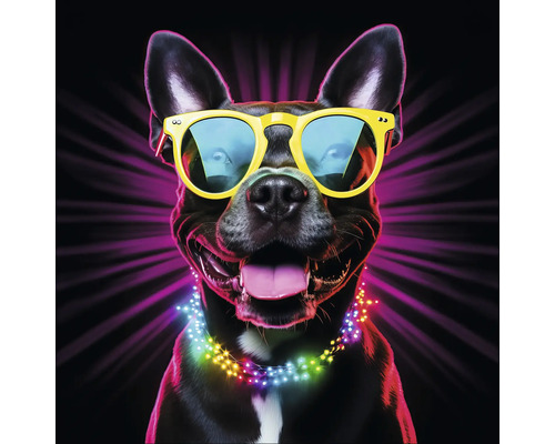 Ein Hund mit Sonnenbrille und Lichterkette.
