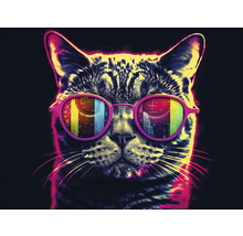 Katze mit Brille