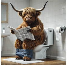 Hochlandrind sitzt mit Hose heruntergelassen auf Toilette und liest Zeitung