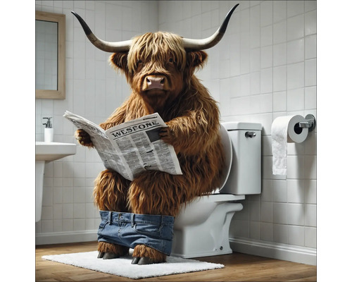 Hochlandrind sitzt mit Hose heruntergelassen auf Toilette und liest Zeitung