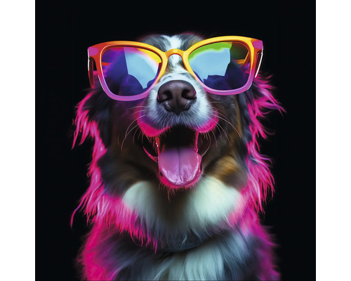 Hund mit Sonnenbrille