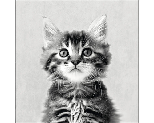 Schwarzweiß-Fotografie einer gestreiften jungen Katze