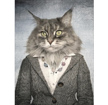 Porträt einer Katze mit Strickjacke und Halskette