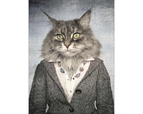 Porträt einer Katze mit Strickjacke und Halskette