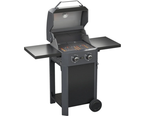Gasgrill mit zwei Brennern, Seitentischen und Rollen