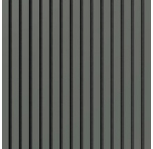 Dekorative Wandverkleidung mit vertikalen Lamellen