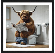 Gerahmtes Bild eines Hochlandrindes, das auf der Toilette sitzt und Zeitung liest