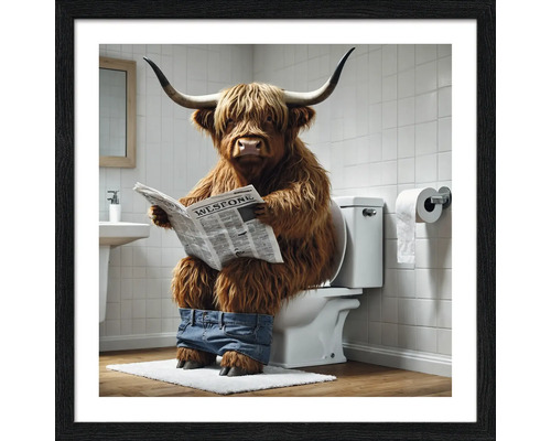 Gerahmtes Bild eines Hochlandrindes, das auf der Toilette sitzt und Zeitung liest