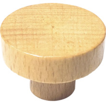 Möbelknopf aus Holz