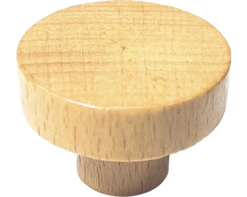 Möbelknopf aus Holz